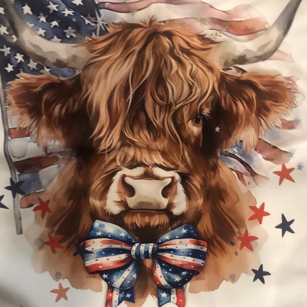 Hobby Lobby Brown White Highland Cow Throw Pillow Cover with Patriotic Bow Red